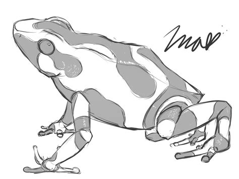 Not sure what poison dart frog you should get? Poison Dart Frog Sketch by Imalune on DeviantArt