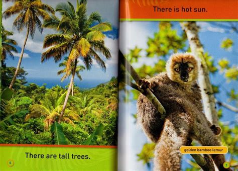 敦煌書局 National Geographic Kids Readers Pre Reader Swing Sloth Explore