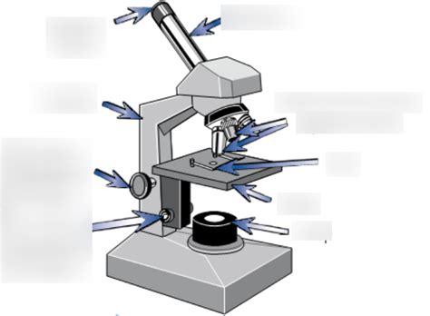 Light Microscope Diagram Gcse Micropedia
