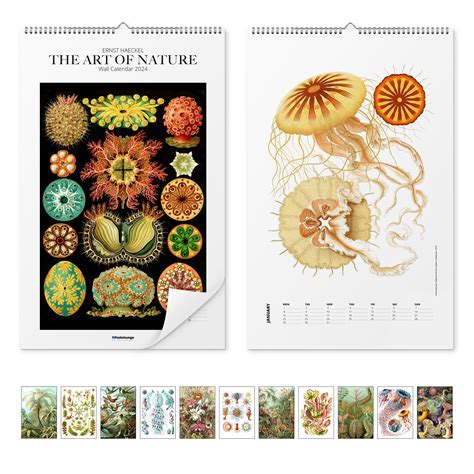 Calendario Da Muro Calendario Di Ernst Haeckel The Art Of Nature 2024