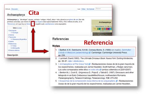 Citas Bibliográficas Y Referencias Vídeos Transformación Digital