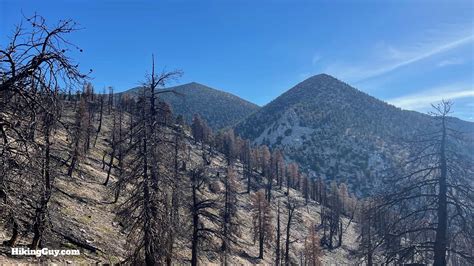 San Gorgonio Hike On The Vivian Creek Trail