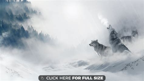 Free Download Wolf Wallpapers Photos And Desktop Backgrounds Up To 8k