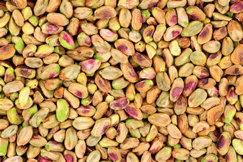 How To Plant And Grow Pistachio Trees 2022