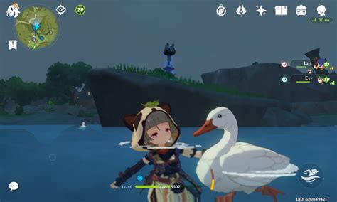 I Made Friends With A Duck Genshin Impact Hoyolab