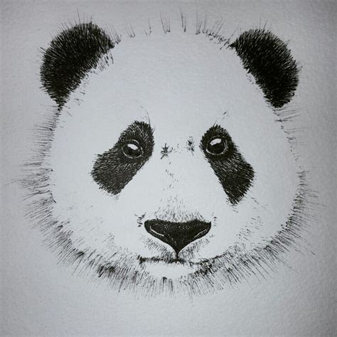 Little Panda Face Drawn In Fine Ink Face Drawing Animal Tattoo
