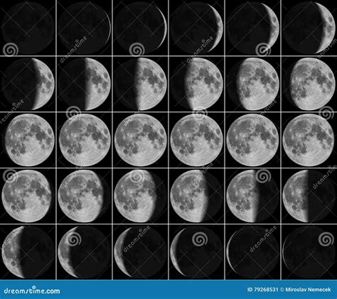 Mond 30 Tagesphasen Stockbild Bild Von Mondschein Phasen 79268531