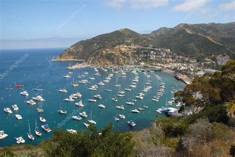 Catalina Island Aerial View — Stock Photo © Nikonite 6465709
