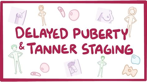 Puberty And Tanner Staging Osmosis