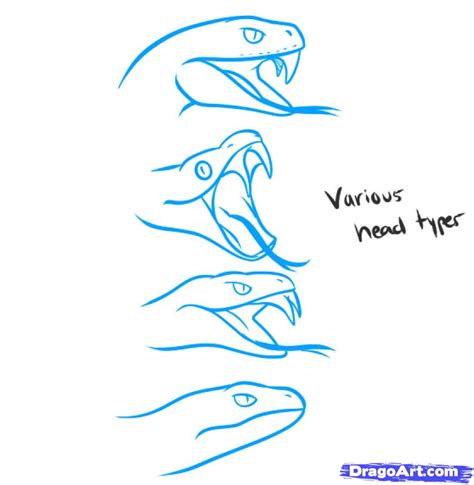 Snake Head Drawing Side View At Getdrawings Free Download
