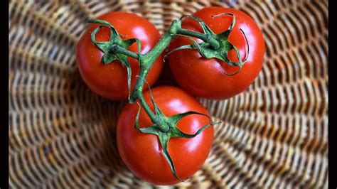 How To Grow Tomato Red Russian A Complete Guide For Juicy And Flavorful Harvests