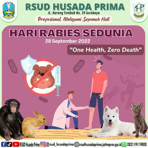 Hari Rabies Sedunia Berita RSUD Husada Prima