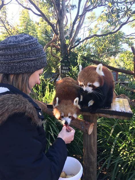 Got To Feed These Guys Some Tasty Apple Slices The Kids Are Just Out