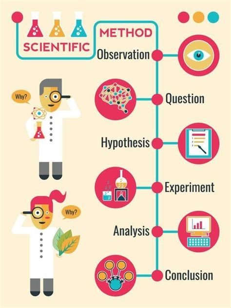 Student Mind Scientific Method Science Fair Science Infographics