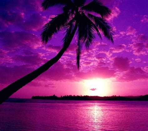 Purple Sunset Wallpapers 4k Hd Purple Sunset Backgrounds On Wallpaperbat