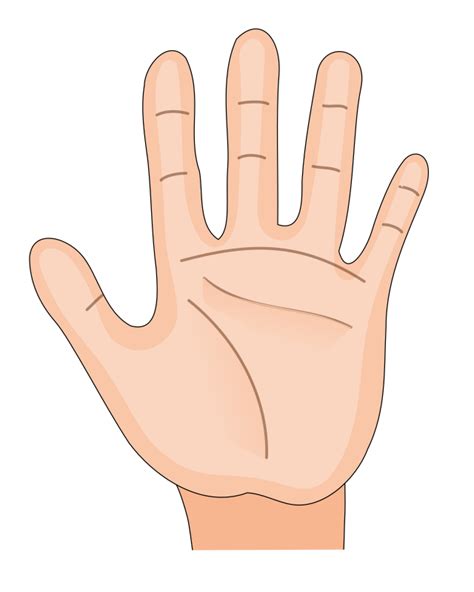 Human Hand Palm Inside Openclipart