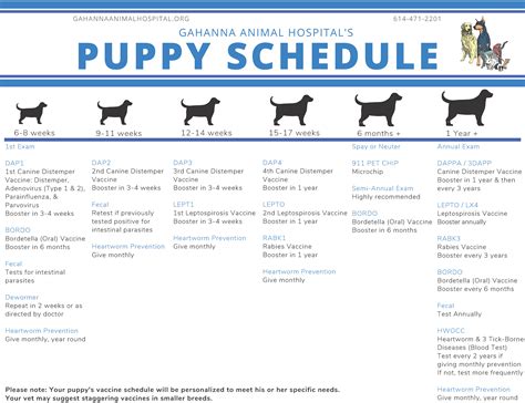 Vaccinations – Gahanna Animal Hospital