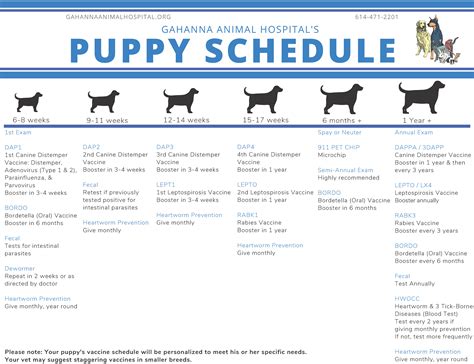 Shot schedule for puppies as seen in the chart, there is a strict schedule of puppy vaccination, which you should follow. Vaccinations - Gahanna Animal Hospital