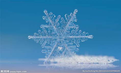 冬季 雪花 结晶 雪白色 下雪摄影图自然风景自然景观摄影图库昵图网