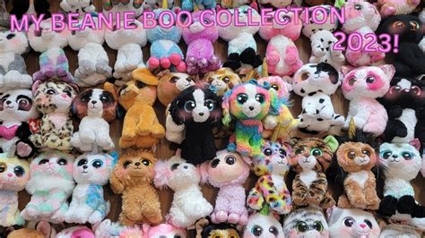 My Beanie Boo Collection 2023 Youtube