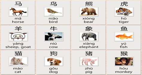 Scroll down to find your chinese zodiac animal by birthday! Chinese Characters for Animals