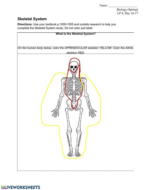Appendicular Skeleton Worksheet Answers Biology Lp D