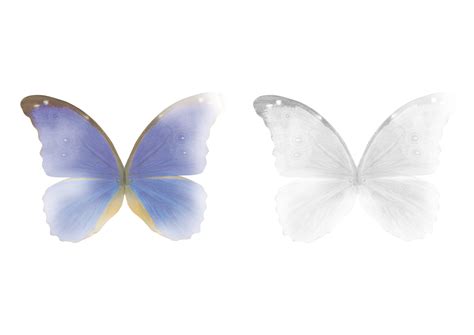 Free Butterfly Magic Wings Photo Overlays Photoshop Overlay Photo