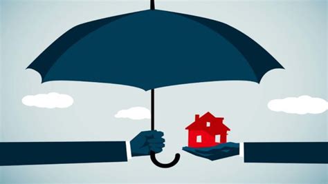 How much insurance coverage do you actually need? How Much Does Homeowners Insurance Cost? | realtor.com®