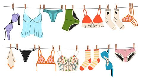 Underwear On Ropes Women Panties And Bras Drying On Clothesline Beau