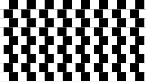 Wallpaper Garis Hitam Putih Gerakan Ilusi Penglihatan 1920x1080