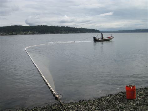 New theory rethinks spread of PCBs and other toxics in Puget Sound