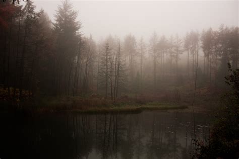 Lake Forest Fog Mist Wallpaper 3732x2489 309831 Wallpaperup