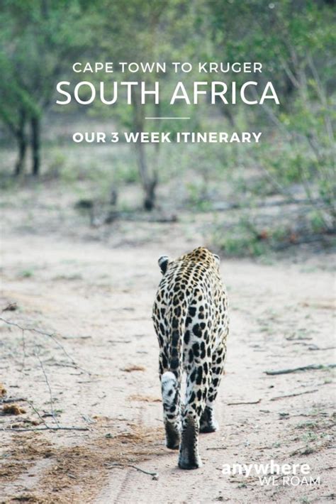 Our 3 Week South Africa Itinerary From Cape Town To Kruger South