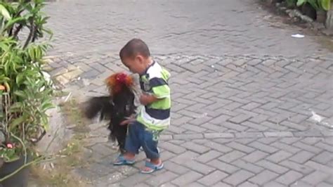 Vidio Anak Kecil Di Ewe Viral Video Lucu Anak Kecil Parodi