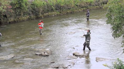 Ganaraska river fishing Sept 2014 - YouTube