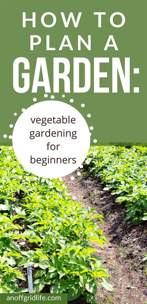 How To Plan A Garden For Vegetable Garden For Beginners