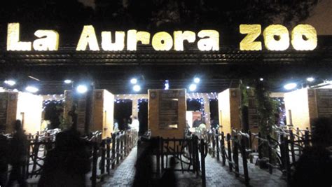 Haz Un Recorrido Nocturno Por El Zoológico En Las Noches De Luna