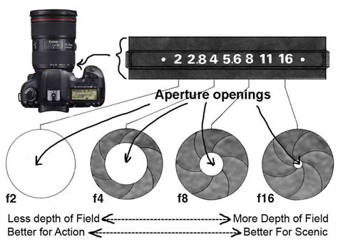 An Image Of A Camera With Its Lens And Parts Labeled In The Diagram