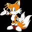 Miles Tails Prower  Sonic X Heroes Forever Wiki Fandom