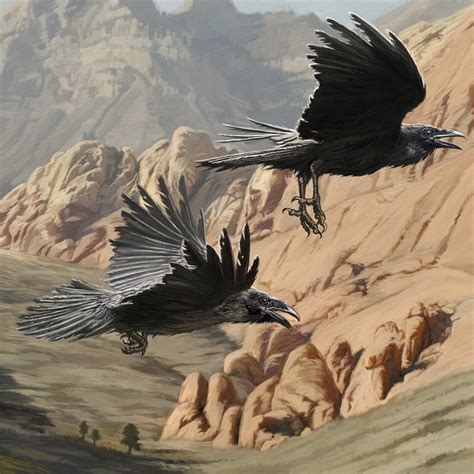 Dan Burr Illustrator Another Raven Painting