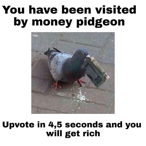 You Have Been Visited By Money Pidgeon If You See This Image While