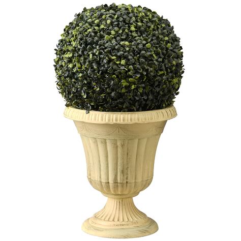 24 Boxwood Single Ball Topiary