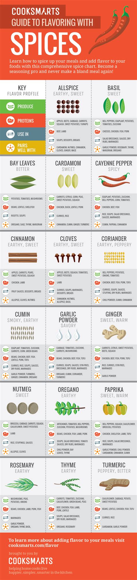Infographic For Flavoring With Spices
