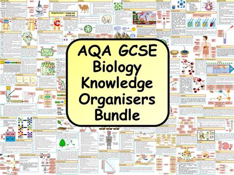 Gcse Computer Science Knowledge Organiser Bundle By S