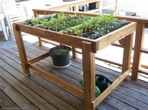 Salad Tables 20 In 2021 Raised Garden Bed Plans Vegetable Garden
