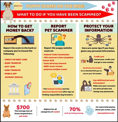 Pet Scams How To Get Money Back After Being Scammed Online