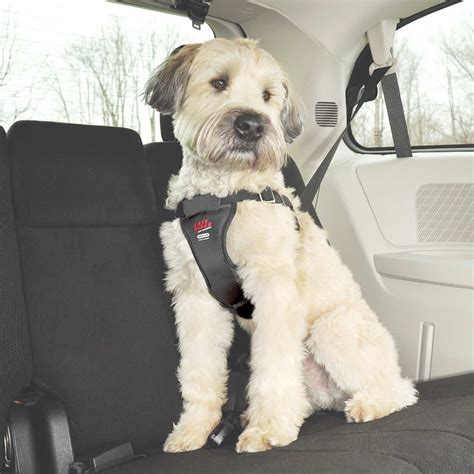 Easy Rider Car Harness For Dogs X Large Upco Pet Supplies