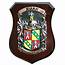 Single Family Coat Of Arms Shield Regular Irish Crest Plaques 