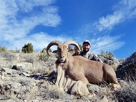 New Mexico Aoudad Hunting Unit 29 30 Compass West Outfitters Compass