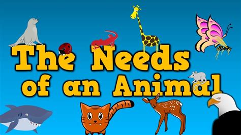 Look at the pictures and study the words. The Needs of an Animal (song for kids about 4 things ...